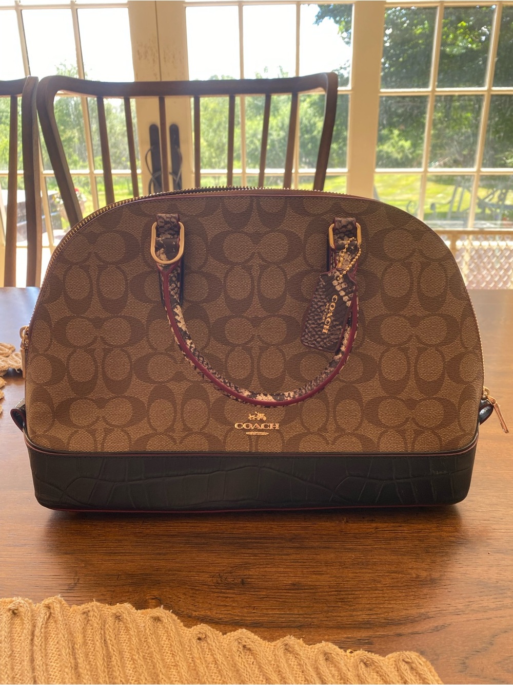Coach Brown Logo Dome Satchel with Black Trim